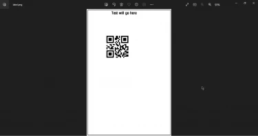 BinaryKits.Zpl.Viewer (How it Works For Developers)