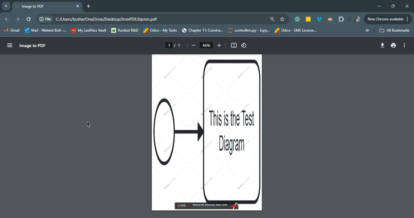 BPMN JS npm (How It Works For Developers): Figure 3 - PDF Output