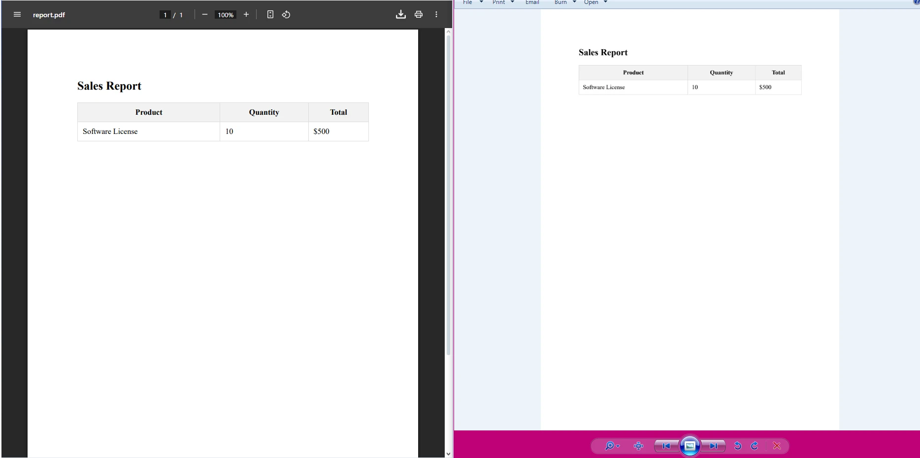 Convert PDF to TIFF VB .NET and C# Guide: Image 5 - PDF vs. the output TIFF in VB .NET