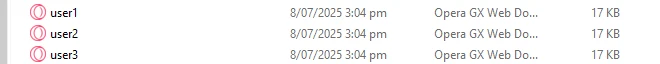 C# Concurrentdictionary (How it Works for Developers): Figure 2 - Example files saved as specified