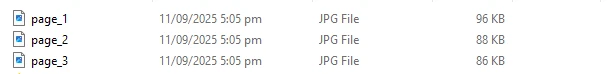How to Convert a PDF to an Image in C#: Figure 3 - Specified PDF pages converted to image
