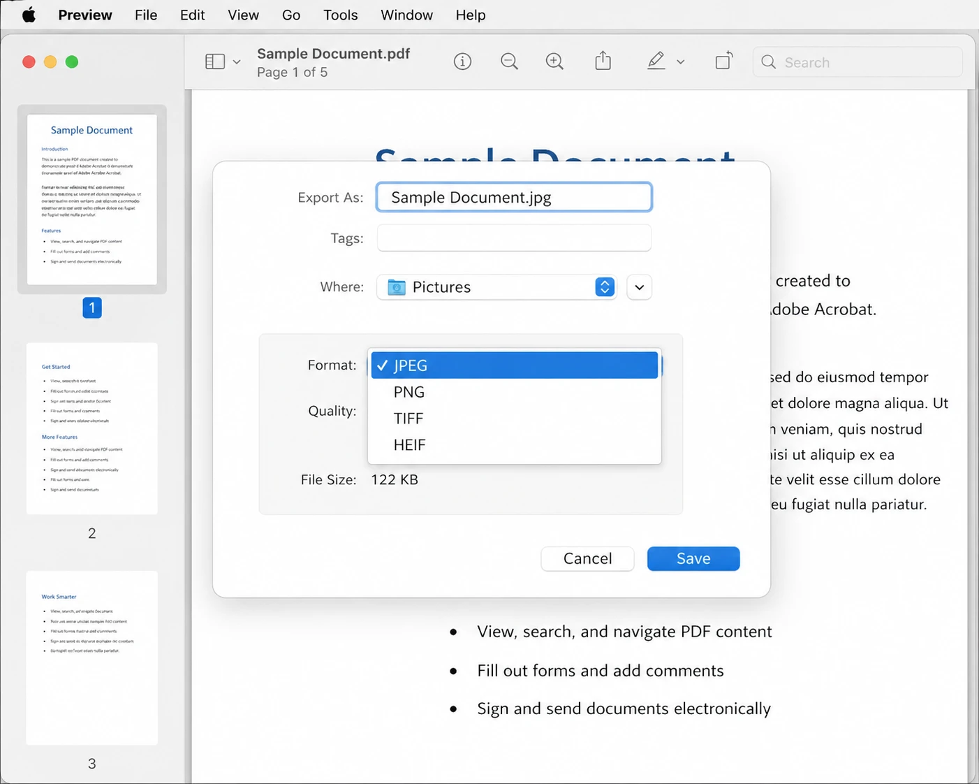 How to Convert PDF to JPG: 11 Easy Methods (Step-by-Step Guide): Image 3 - Preview's Export dialog with the Format drop-down menu