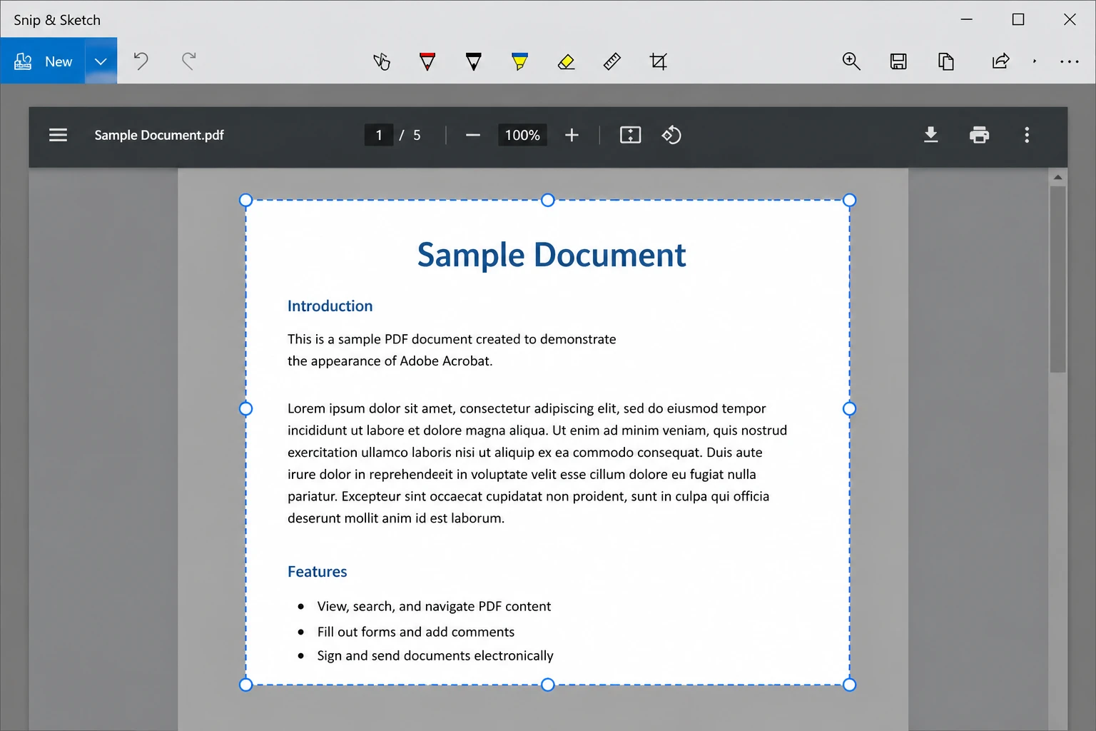 How to Convert PDF to JPG: 11 Easy Methods (Step-by-Step Guide): Image 5 - Snip & Sketch active over a PDF page, showing the selection rectangle