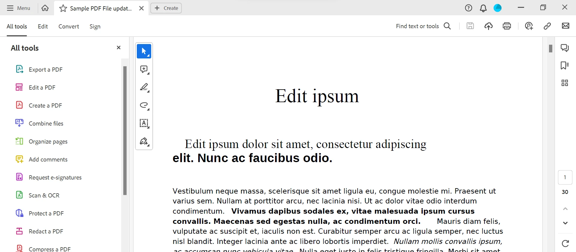 How to Edit Text in PDF (Beginner Tutorial): Figure 8 - The PDF with its title changed to Edit ipsum.