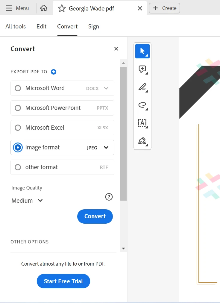 Cómo guardar PDF como JPEG (Guía para principiantes): Figura 8 - Ajustes de conversión: Elija Formato de imagen como JPEG y seleccione la calidad de la imagen.