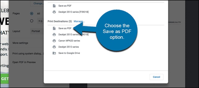 Choose the save as PDF option