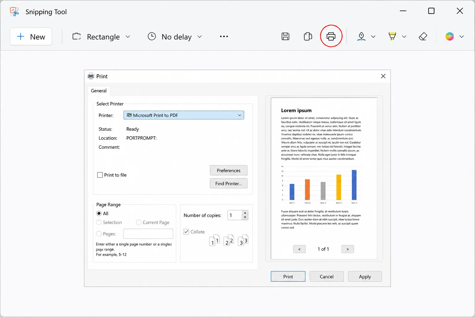 Snipping Tool window with the print icon circled in the top-right toolbar