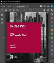 How to view PDF files in ASP.NET using C# and IronPDF