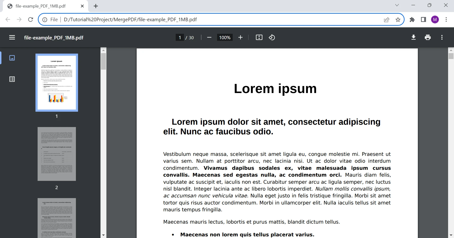 PDF Viewer in Chrome (Developer Updated List): Figure 2 - Accessibility