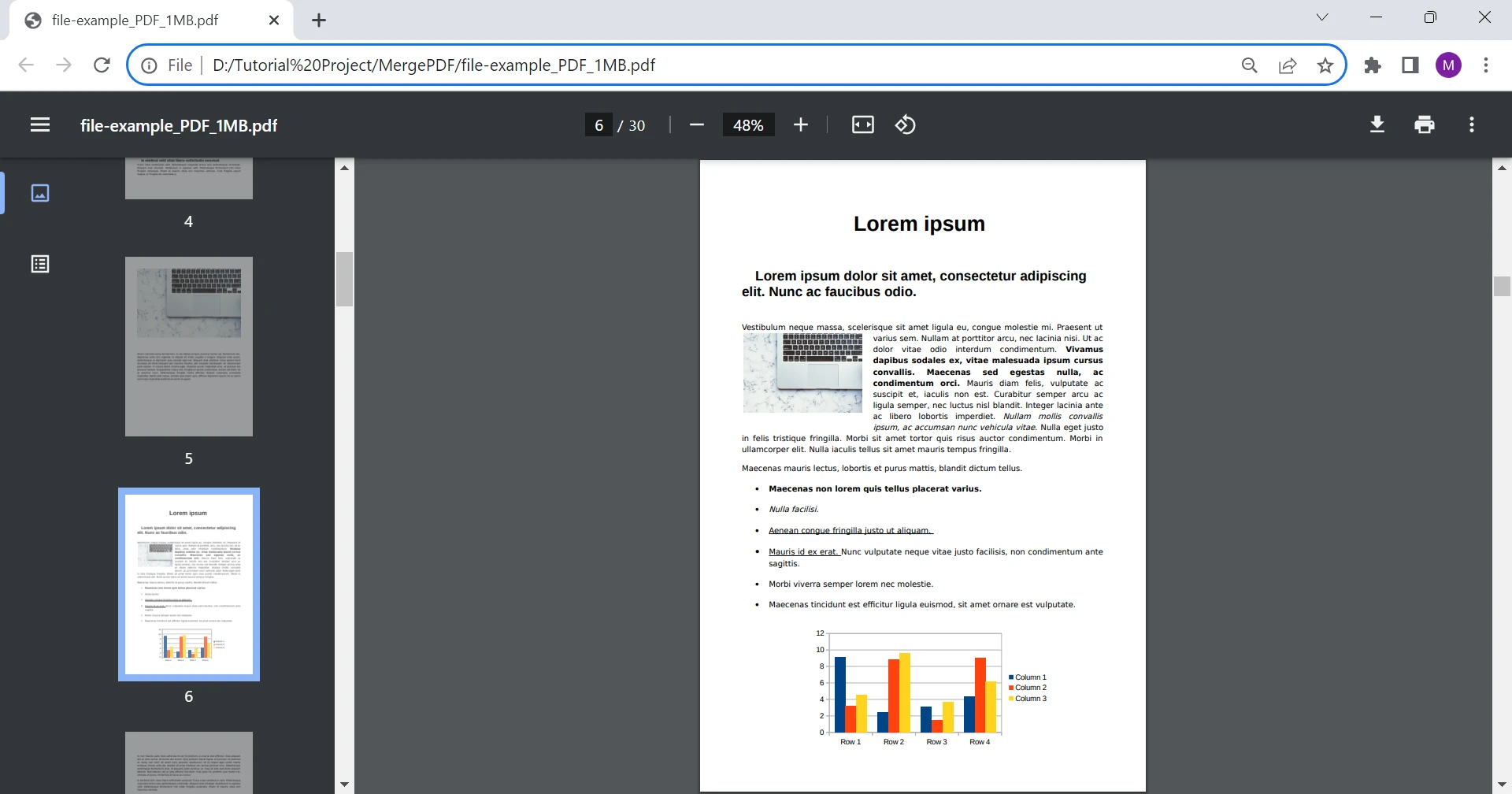 PDF Viewer in Chrome (Developer Updated List): Figure 5 - Navigation