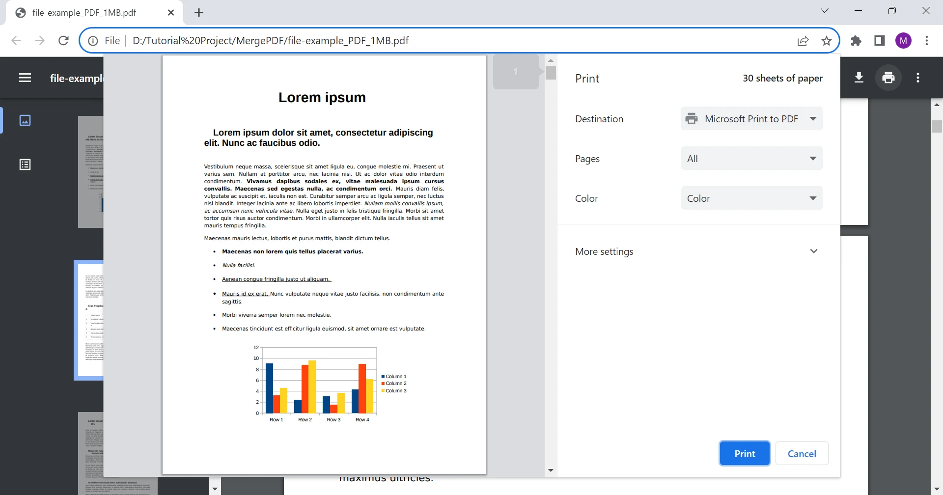 PDF Viewer in Chrome (Developer Updated List): Figure 6 - Print Capability