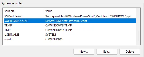 Set Environment variable
