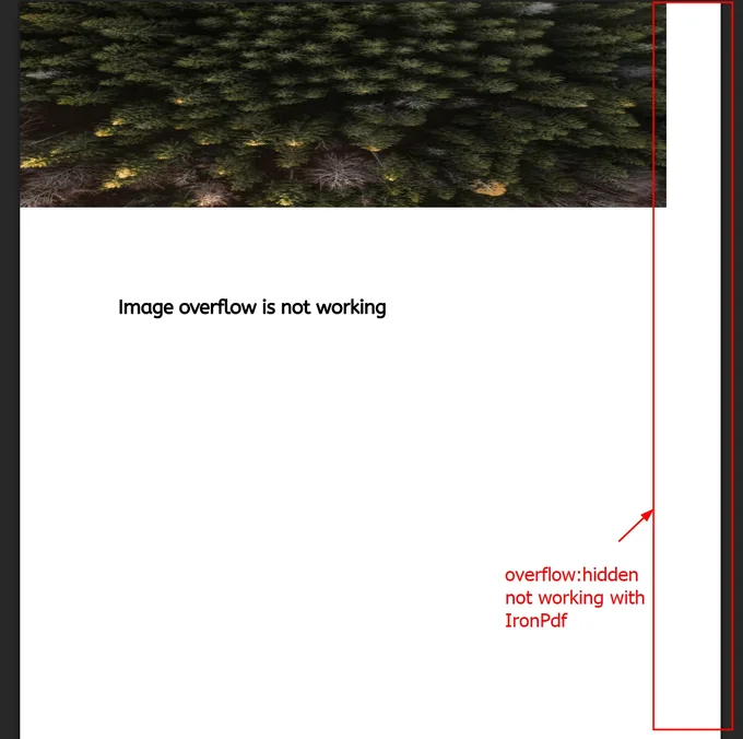 overflow:hidden not honored in standard IronPdf, content bleeds past page edge