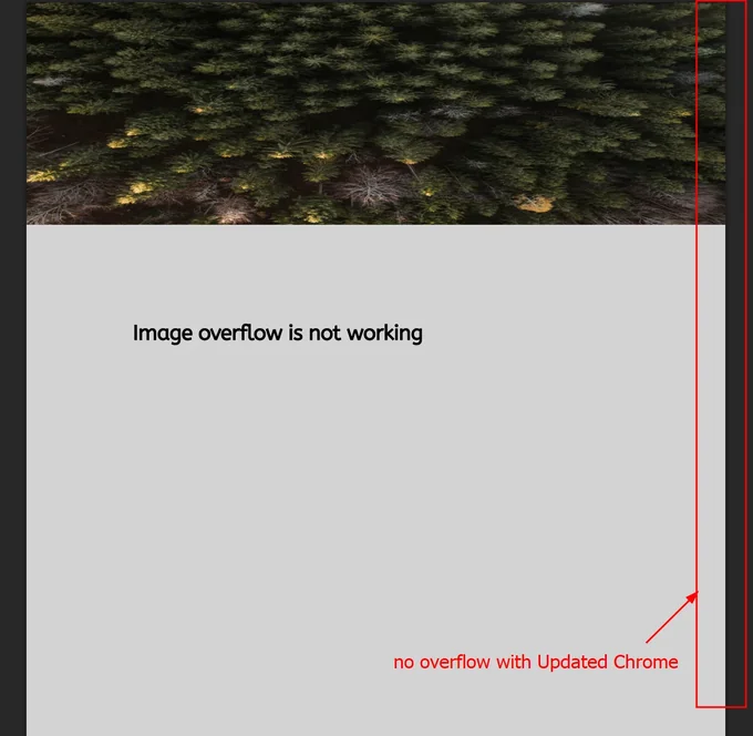 overflow:hidden correctly clipped under IronPdf.UpdatedChrome